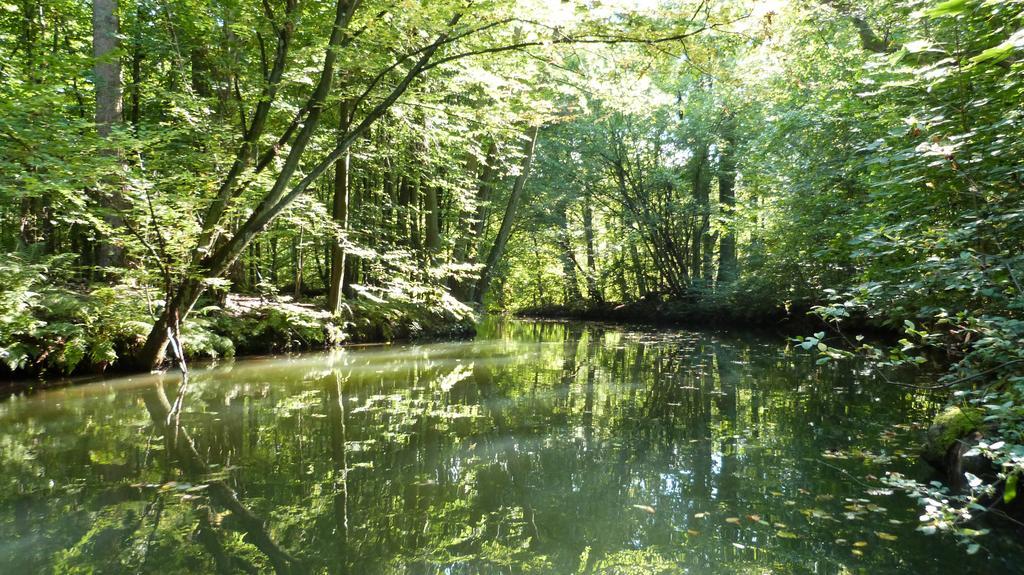 Gaestehaus Liubas Insel Köthen エクステリア 写真